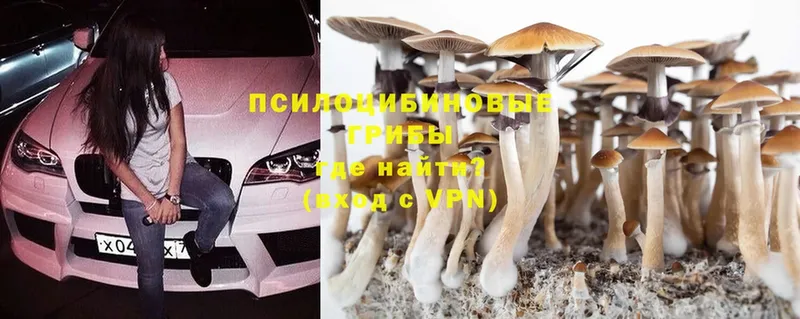 МЕГА ONION  купить наркоту  Североморск  Псилоцибиновые грибы Magic Shrooms 